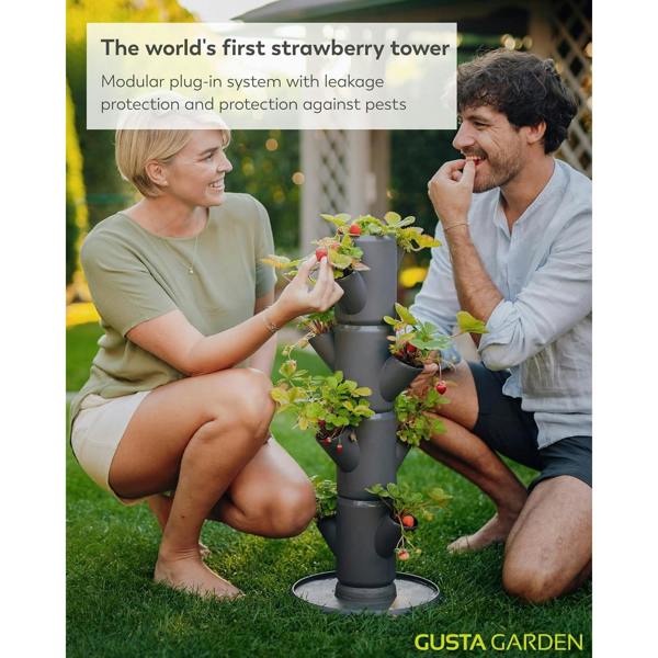 SISSI STRAWBERRY easy-watering strawberry tree