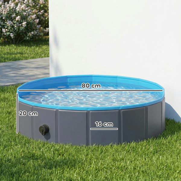 Pet Swimming Pool