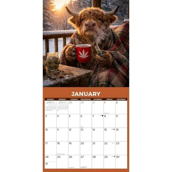 HIGH-land Cows Calendar 2027, Wall Calendars, Month To View, Animals, Gift