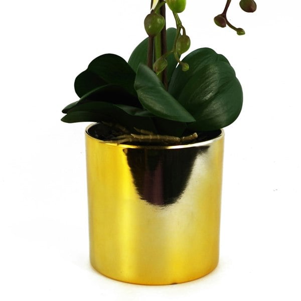 Leaf 52cm Artificial Orchid Large - White / Gold