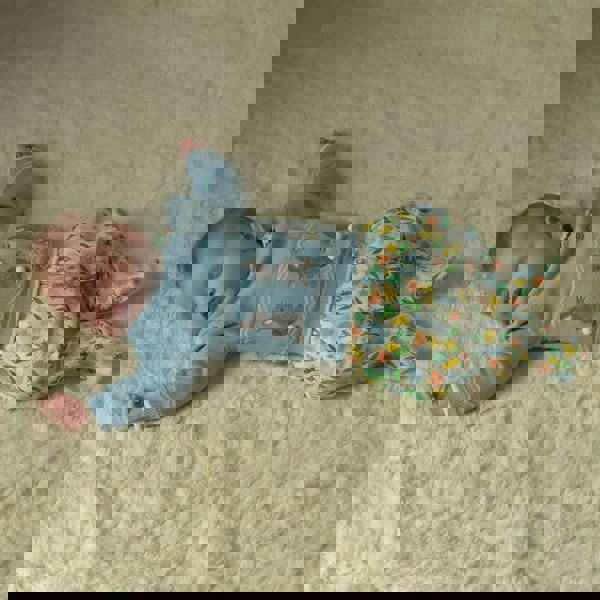 Rachel Riley Spring Meadows Babygro