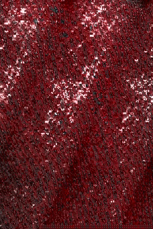 Sequin Cuffed Ankle Trouser - Wine TR360