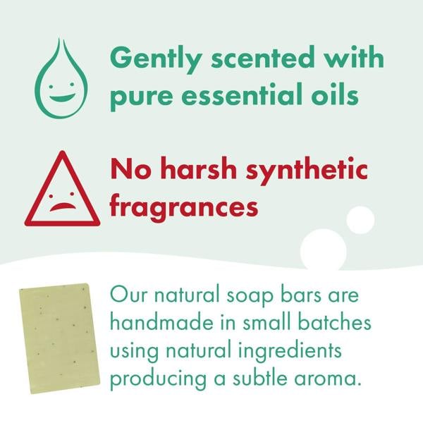 Friendly Soap 3 Pack - Natural Soap - Peppermint & Poppy Seeds