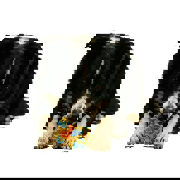 Nike Max Fusion Pop It Dog Toy - Multicoloured - 