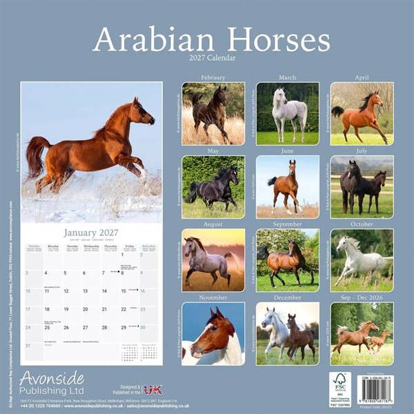 Arabian Horses Calendar 2027, Wall Calendars, Month To View, Animals, Gift