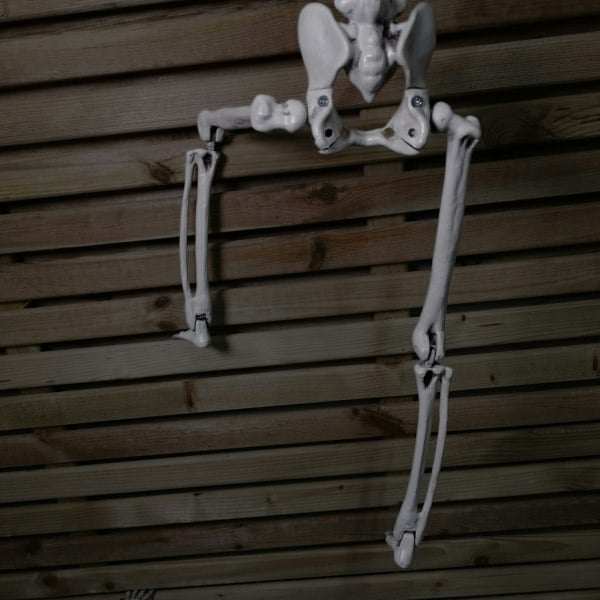 Samuel Alexander 90cm (3ft) Posable Full Body Halloween Skeleton Decoration with Movable Joints