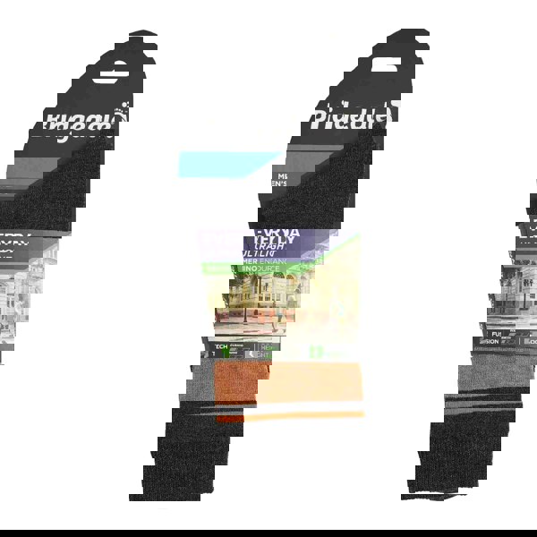 t4option1_1