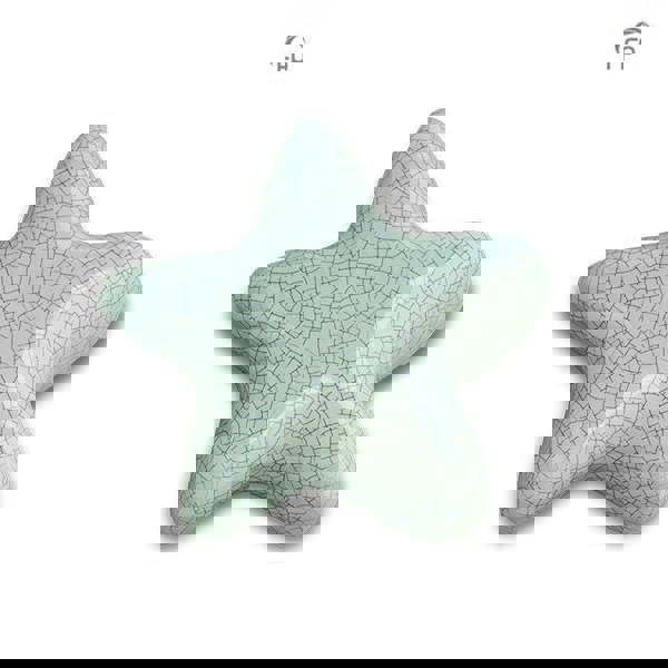 Memorials Direct Ceramic Star Keepsake