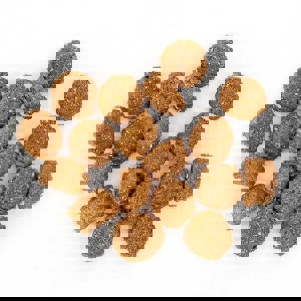 Clinivet Adult Junior Dog Food