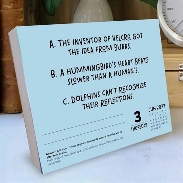 Two Lies and a Truth Desk Calendar 2027, Desk Calendars, Day To View, Humour, Gift