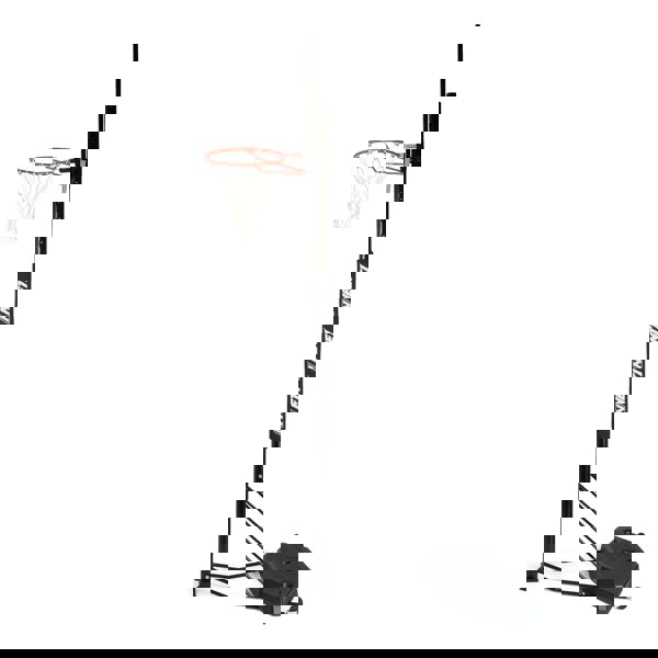 NET1 Arena Basketball Hoop