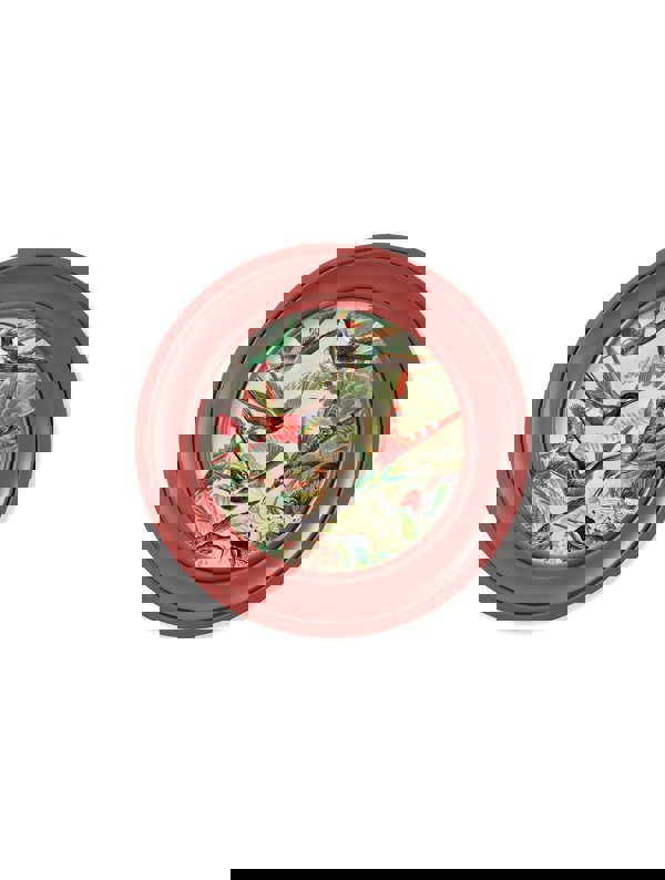 Exceptional Art c.1904 Haeckel Hummingbirds - Red Frame