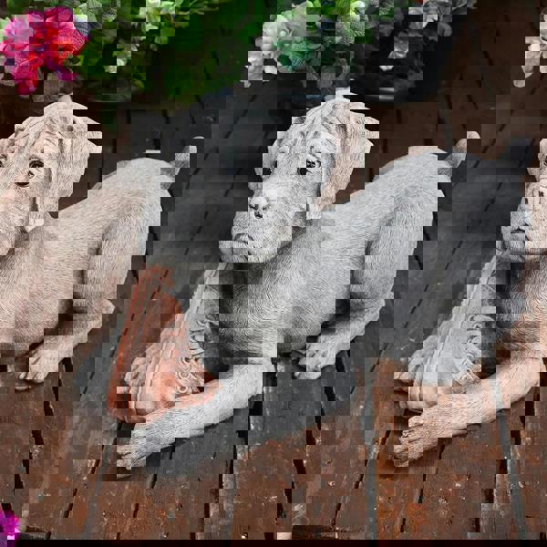 Dog and Shoe Stone Garden Ornament