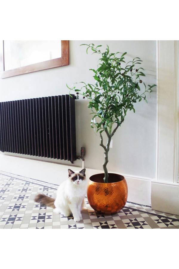 Dyzi 120cm Artificial Olive Tree with Realistic Olives