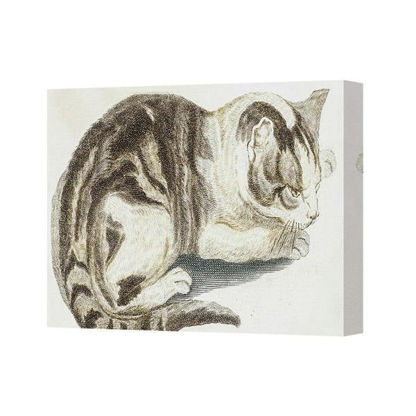 Benjamin Tate Design Sleeping Cat Canvas Wall Art Print Feline Portrait Home Decor 3018