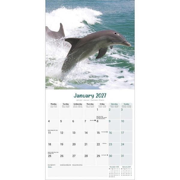 Dolphins Calendar 2027, Wall Calendars, Month To View, Animals, Gift