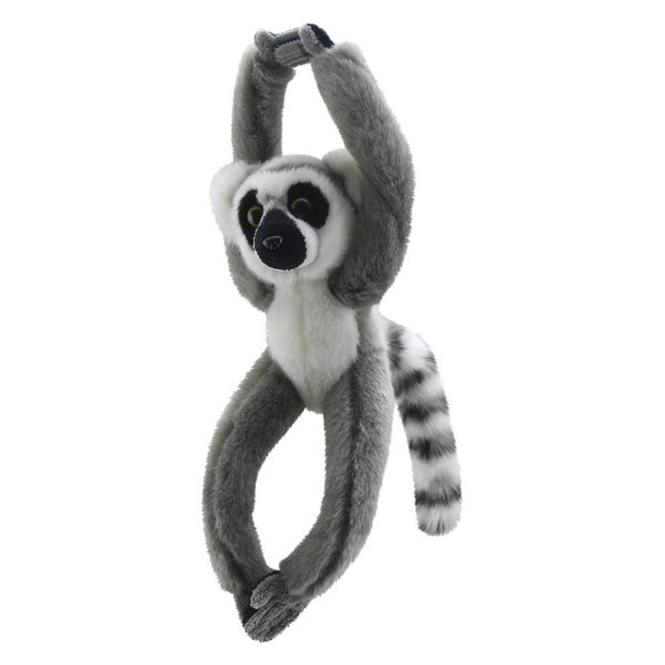 Wilberry Lemur - Canopy Climbers