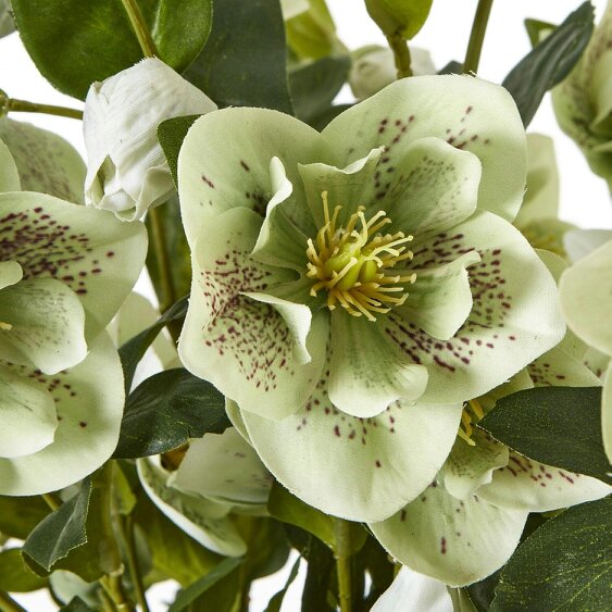 Wyld Haus Artificial Plant Large Green Hellebore in Brown Ceramic Pot