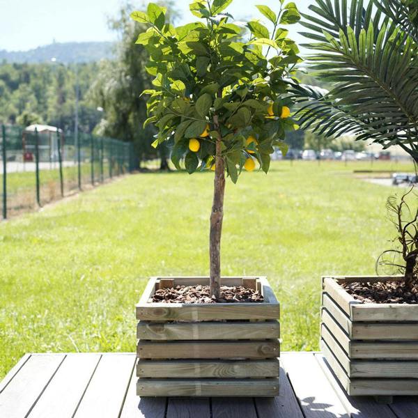 Cerland Kub Square Slatted Planter 40cm x 40cm 30L Modern Square Wooden Planter