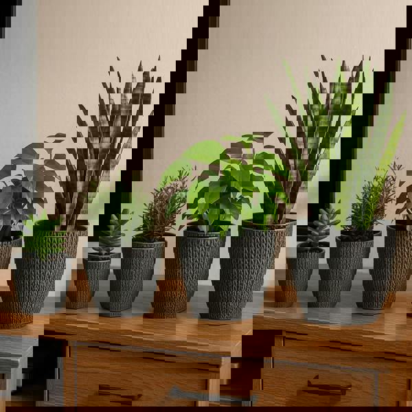 Gr8 Garden Set Of 4 Grey Sumela Knitted Flower Plant Pot Planter With Tray Indoor Garden