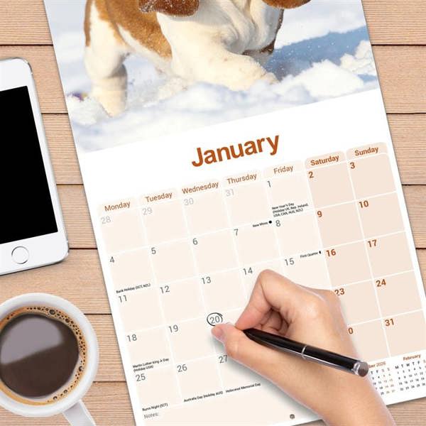 Basset Hound Calendar 2027, Wall Calendars, Month To View, Dogs, Gift