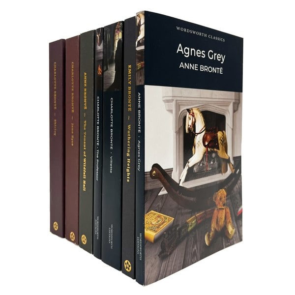 The Bronte Sisters 7 Book Set: Agnes Grey, Wuthering Heights, Villette, The Professor & more