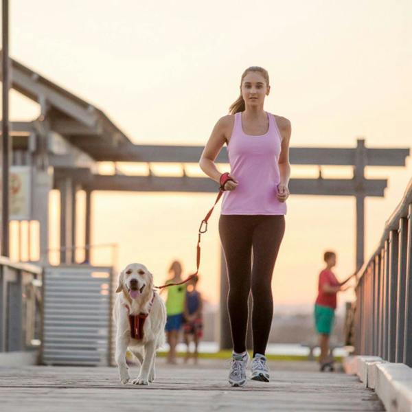 EzyDog Handy Carabiner Dog Lead