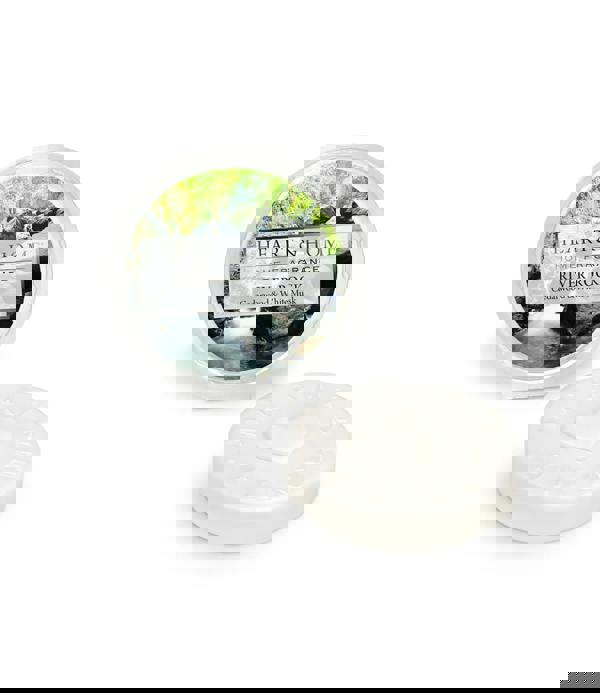 Heart & Home River Rock - Wax Melt