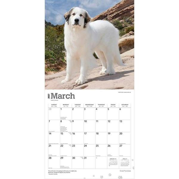 Great Pyrenees Calendar 2027, Wall Calendars, Month To View, Dogs, Gift