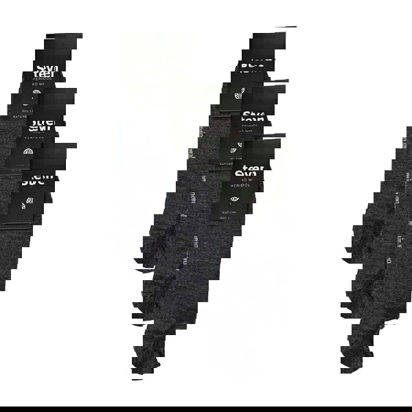 t4option1_1