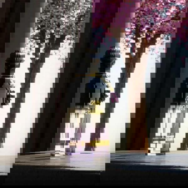 Ahmed Al Maghribi Oud & Roses Perfume 60ml Long-Lasting Arabian Fragrance