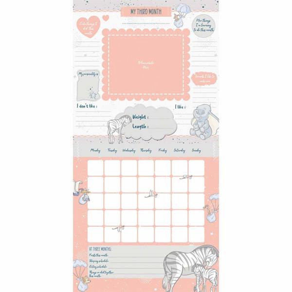 Disney Classic Babys First Year Calendar, Perpetual Calendars and Diaries, Month To View, Entertainment, Gift