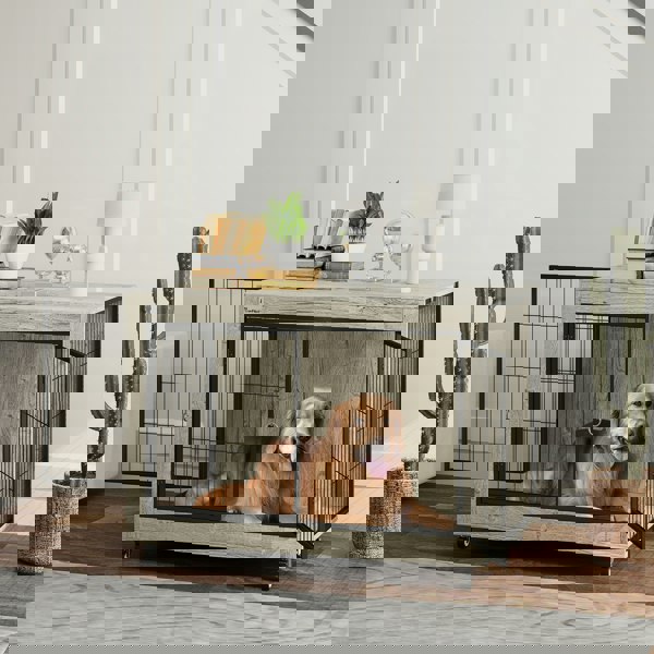 D02-214V01GY