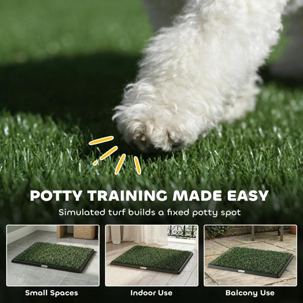Dog Toilet