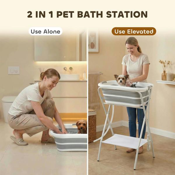 Pet Swimming Pool
