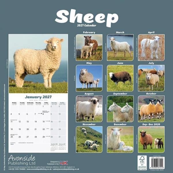 Sheep Calendar 2027, Wall Calendars, Month To View, Animals, Gift