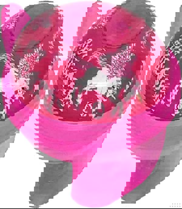 Sport Direct Bicycle Flying Unicorn Pink Kids/Childs Bell