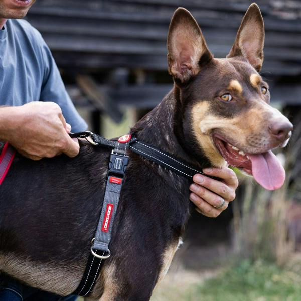 EzyDog Crosscheck Dog Harness in Black