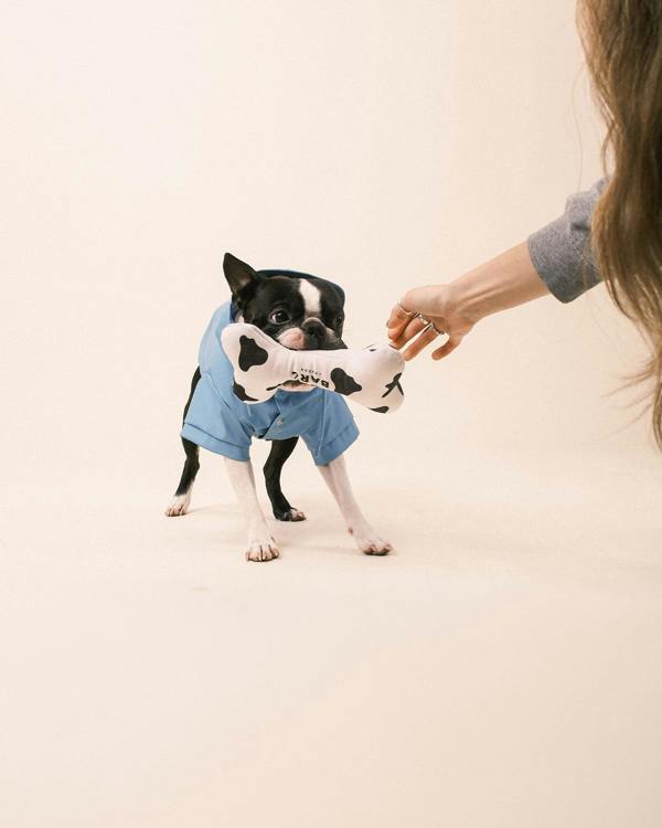 Barc London Cow Squeaky Dog Bone Toy
