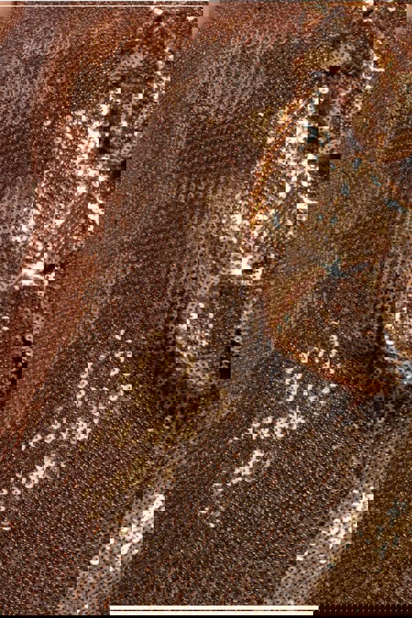 Liquid Sequin Boobtube Midaxi With Corsage - Gold DR4126