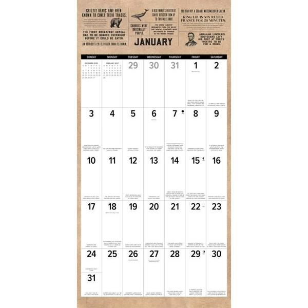 Today I Learned Calendar 2027, Wall Calendars, Month To View, Lifestyle, Gift