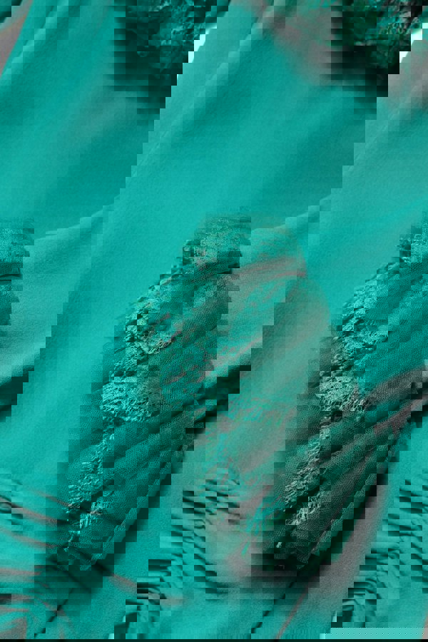 DR281236_5_P.jpg