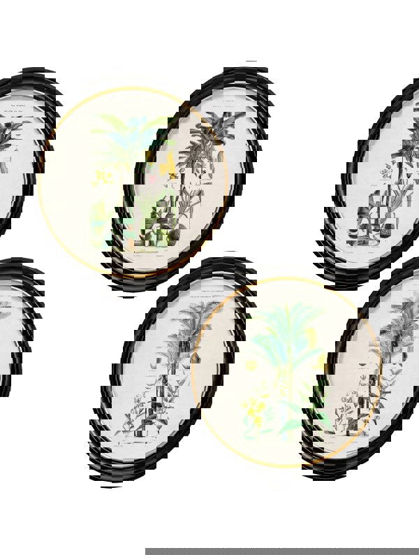 Exceptional Art c.1877 Tropical Plants Used as Food and Clothing - Round Frame