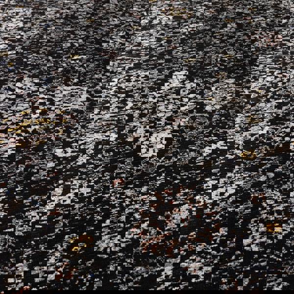Asiatic Sovereign Black Vintage Floral Rug