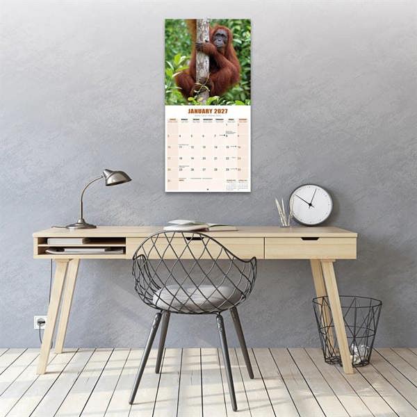 Apes Calendar 2027, Wall Calendars, Month To View, Animals, Gift