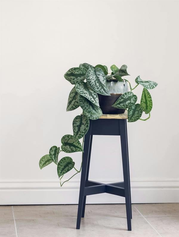 Statement Furniture Florence Wooden Plant Stand Plant Holder 50cm Tall ASSEMBLED