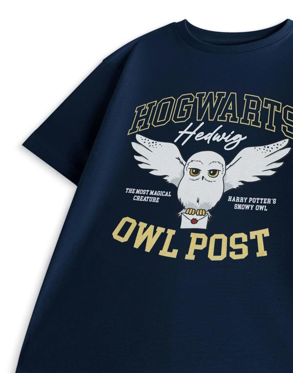 Vanilla Underground Harry Potter Girls Blue Owl Post Short Sleeved T-Shirt