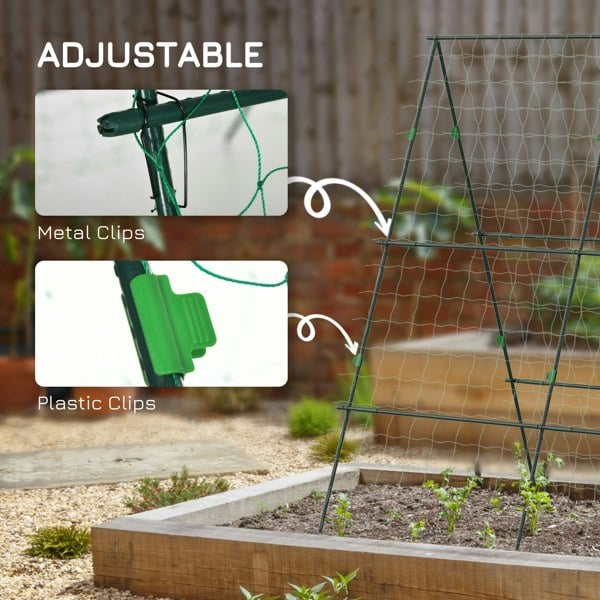 Tomato Cage