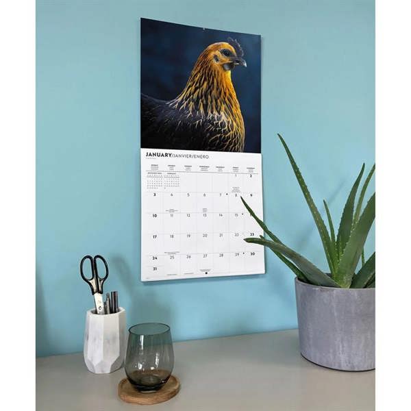 Chickens Calendar 2027, Wall Calendars, Month To View, Animals, Gift