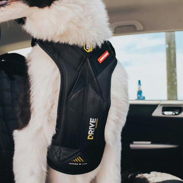 EzyDog Drive Car Harness